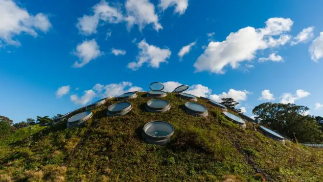 باغ‌بام آکادمی علوم کالیفرنیا درسان‌فرانسیسکو یکی از بزرگ‌ترین نمونه‌های جهان است که با گیاهان بومی پوشیده شده است. این بام دمای ساختمان را تنظیم کرده و زیستگاهی برای گونه‌های محلی ایجاد می‌کند.