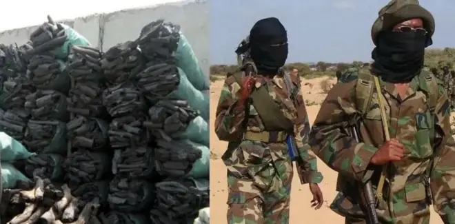 Golaha ammaanka ayaa xayiraad saaray Al-Shabaab