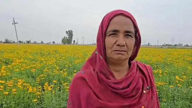 ਫੁੱਲਾਂ ਦੀ ਖੇਤੀ