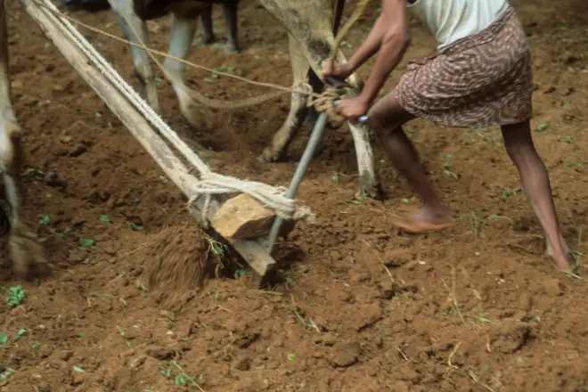ఏపీ ల్యాండ్ టైటిలింగ్ యాక్ట్ 