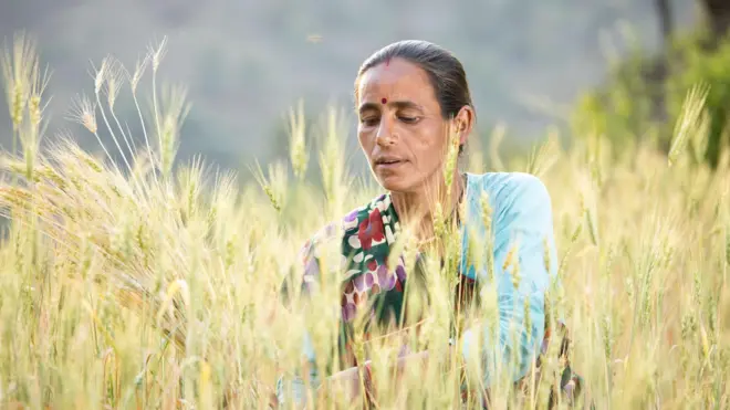 प्रातिनिधिक फोटो