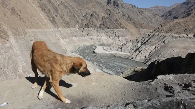 suša u iranu, pas na isušenoj brani u iranu