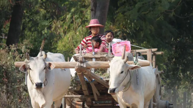 ပြီးခဲ့တဲ့သီတင်းပတ်တွေအတွင်း ဘေးလွတ်ရာထွက်ပြေးတိမ်းရှောင်ခဲ့ကြရတဲ့ တန့်ဆည်ဒေသခံတွေ