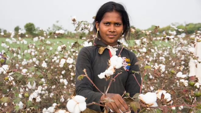 प्रातिनिधिक फोटो