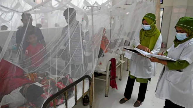 এক সময়ে বাংলাদেশে ডেঙ্গু রোগটি মৌসুমি রোগ বলে মনে করা হলেও, গত কয়েক বছর ধরে সারা বছর জুড়ে প্রকোপ দেখা যাচ্ছে। 