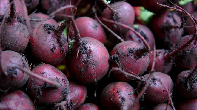 Foto of plenti beetroot wey dem just harvest
