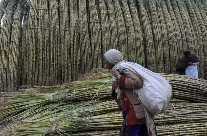 شوگر مل، چینی