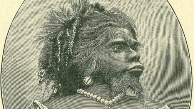 జూలియా పాస్ట్రానా