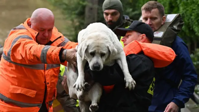 Польские спасатели и солдаты эвакуируют местных жителей и их собаку в деревне Рудава, южная Польша, 15 сентября 2024 года