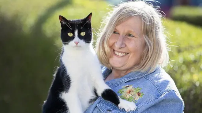 به همیزبی از سوی سازمان حفاظت از گربه‌ها به عنوان گربه ملی انگلستان سال ۲۰۲۳ انتخاب شده است