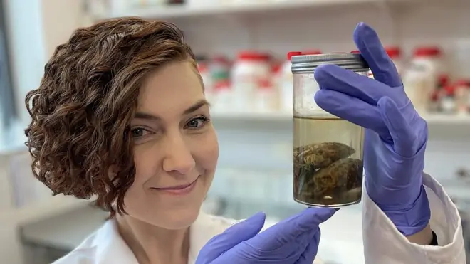 Alexandra Morton-Hayward sostiene un frasco con uno de los cerebros antiguos 