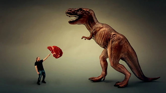 คนยื่นเนื้อให้ทีเร็กซ์ 