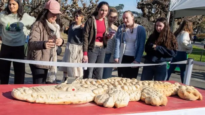 మొసలి, ఎలిగేటర్, శాన్ ఫ్రాన్సిస్కో, నివాళి, ఆల్బినిజం