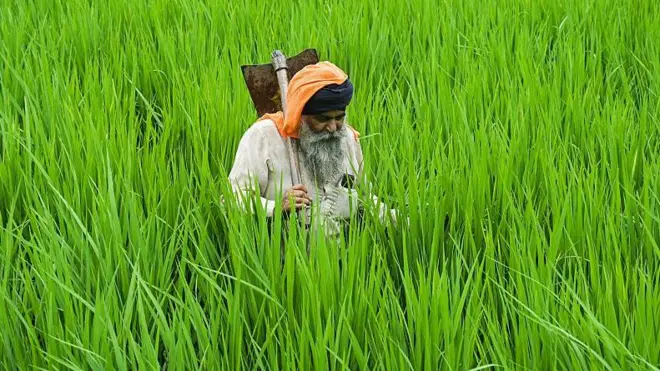 ਕਿਸਾਨ