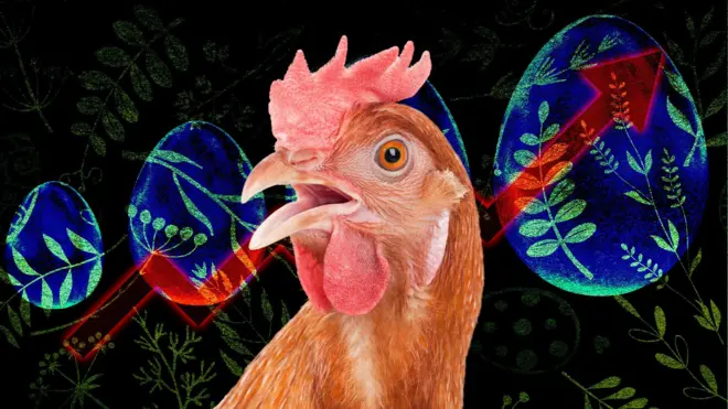 ціни на яйця