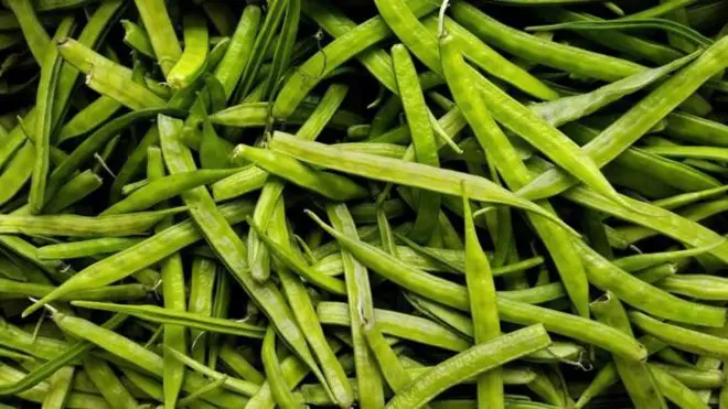 గోరుచిక్కుడు, అమెరికా, భారత్, గ్వార్ గమ్