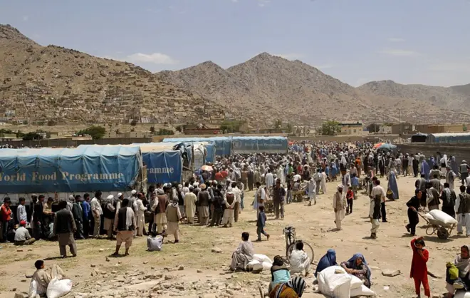 ډبلیو اېف پي