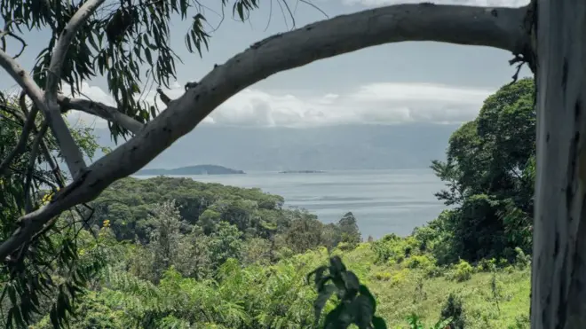 The shores of Lake Kivu, with lush green plants, seen from the mountains of Idjwi island on a misty day.