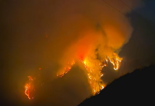 آتش‌سوزی در جنگل الیت