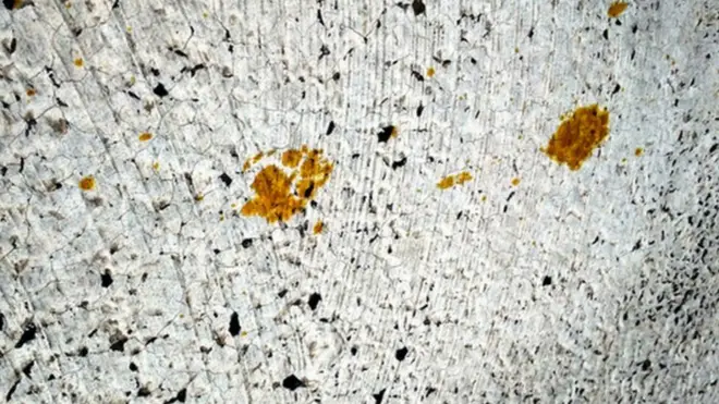 పసుపు రంగు పాదాల గుర్తులు