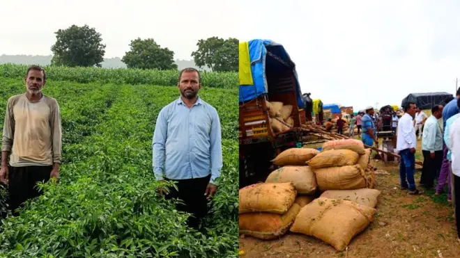 बांगलादेशातल्या अराजकामुळे महाराष्ट्रातल्या शेतकऱ्याच्या डोळ्यात पाणी का आलंय? वाचा