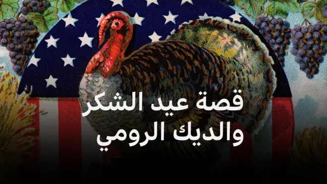 ديك رومي وخلفه العلم الأمريكي