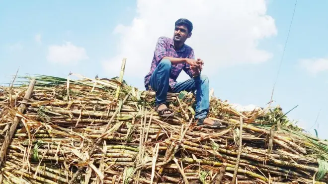 संतोष खाडे