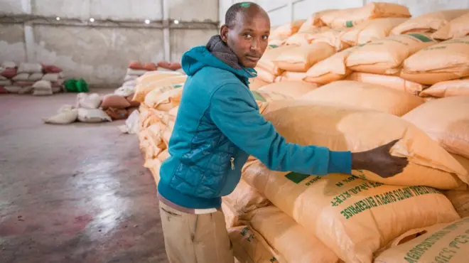 የአፈር ማዳበርያ