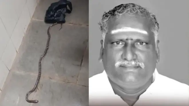 திருவள்ளூர், தந்தை கொலை, பாம்பு கடித்துக் கொலை