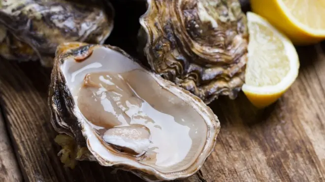 หอยนางรม