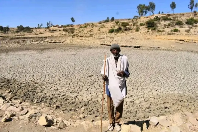 ኣብ ደንደስ ዝደረቐ ተሓራሳይ መሬት ደው ዝበሉ ሓረስታይ