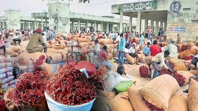 మిర్చి పంట, గుంటూరు, మిర్చి యార్డు, చంద్రబాబు, ఏపీ ప్రభుత్వం, కేంద్ర ప్రభుత్వం