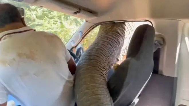 යාල - සිතුල්පවුව මාර්ගයේ දී ඇතෙකුගේ ප්‍රහාරයකට ලක් වීම ගැන සමාජ මාධ්‍ය ඔස්සේ බොහෝ දෙනාගේ අවදානය යොමුව තිබේ.