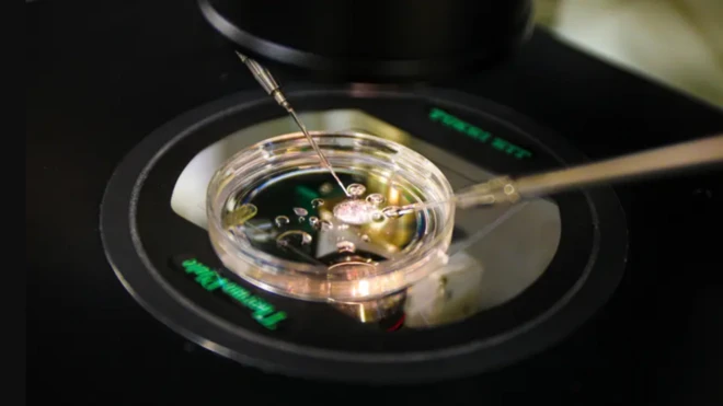 تصویری از یک فعالیت آزمایشگاهی