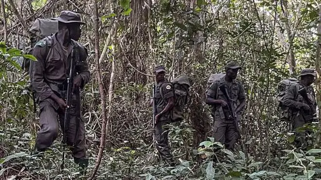 A makon da ya gabata ne gwamnatin Najeriya ta bayar da umurnin ɗaukar jami'an tsaron gandun daji 1,000 domin taimakawa wajen kuɓuto da malamai da ɗaliban da aka sace a jihar Oyo da ke kudu maso yammacin ƙasar.
