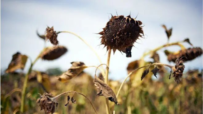 اروپا در سال ۲۰۲۲ گرمترین تابستان خود را تجربه کرد (میانگین دما جایگاه اول در تابستان شد)، و میانگین دما در کل سال جایگاه دوم داشت
