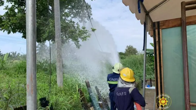 FILE - fire service personnel clearing bees from a tree 