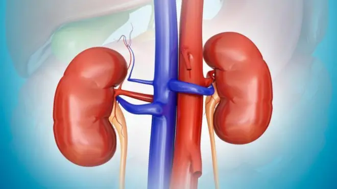 किडनी की बीमारी 
