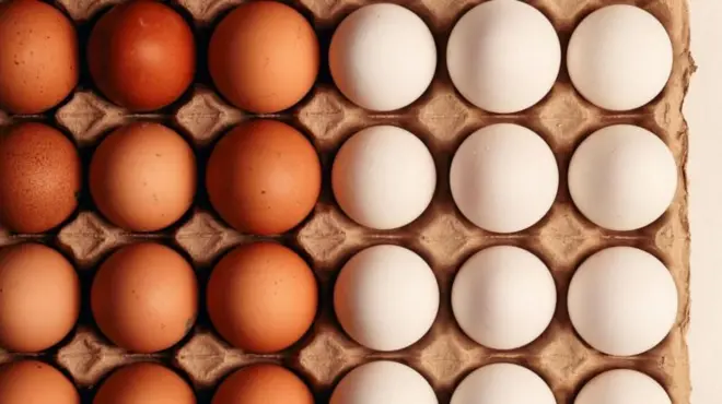 కోడి గుడ్లు