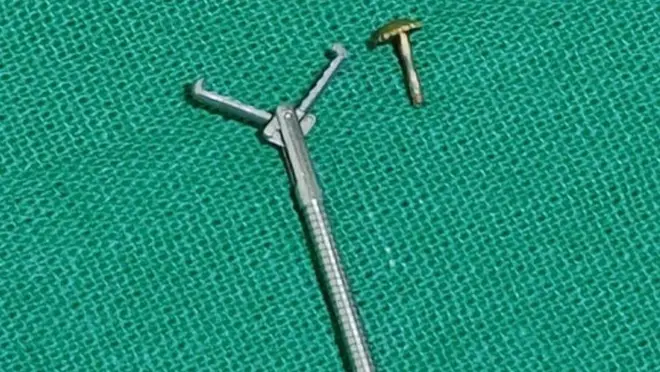 ముక్కుపుడక స్క్రూ ఫోటో 