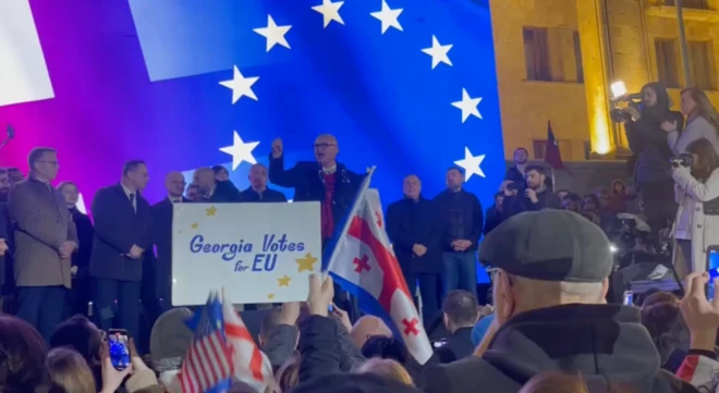 Делегация европейских политиков на митинге в Тбилиси
