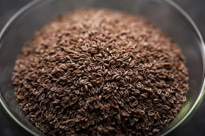 ఇసబ్గోల్