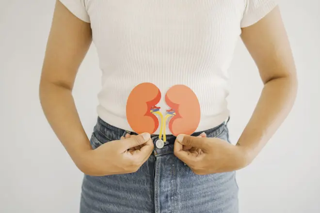 Hands holding kidney shaped paper, world kidney day, Organ Donor Day, Chronic kidney disease concept