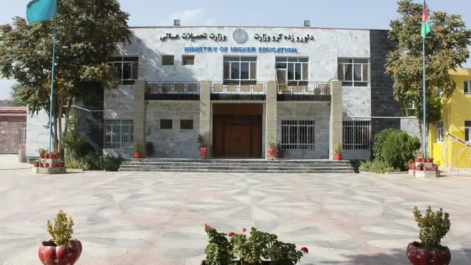 کانکور پایلې