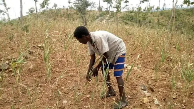 Qonnaan bulaa oyiruu keessa jiru