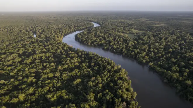 imagem do rio Amazonas vistoodds sporting portocima