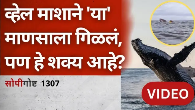 सोपी गोष्ट व्हेल मासा