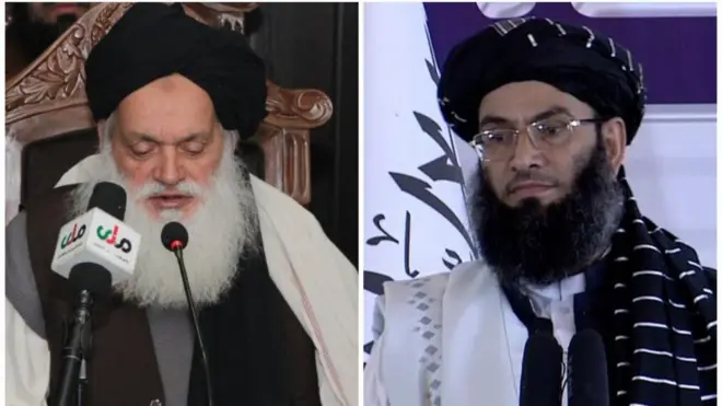 خالد حنفی و فریدالدین محمود