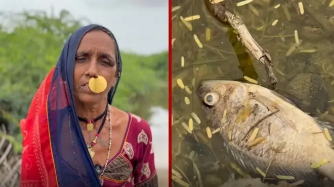 વાવ, ગુજરાત, બીબીસી ગુજરાતી, પૂર, પાણી