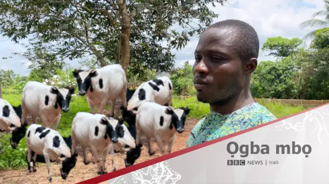 Onye na-akpa ehi Igbo